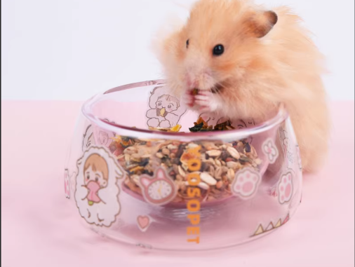 Glass Food Containers for Pet Owners: Storing Food and Treats Safely