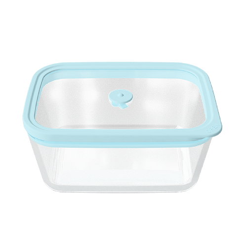 Rectangle Glass Lid Food Storage Containers-V